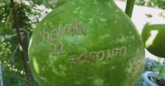 Danh ca Chế Linh còn hào hứng cho khán giả xem trái bầu hồ lô có khắc tên mình.