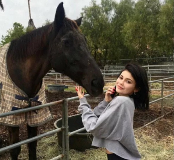 Kylie Jenner từng tiết lộ trong loạt ảnh gần đây của mình rằng cô ấy muốn sở hữu một trang trại. Ảnh: Getty