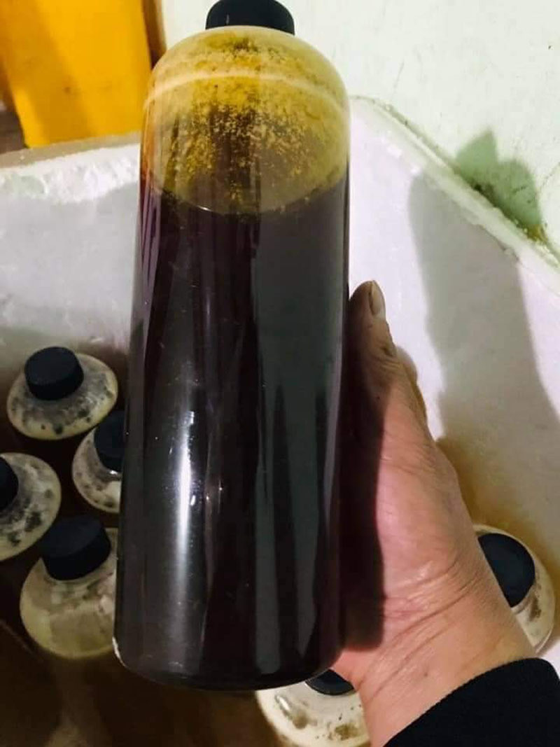 Loại mật ong này được coi là đặc sản hiếm có của vùng đất Tây Nguyên, chỉ có ở vùng núi cao, trên đỉnh Ngọc Linh từ độ cao 1.400m so với mực nước biển, rất khó khai thác. Ảnh: Vietnamnet