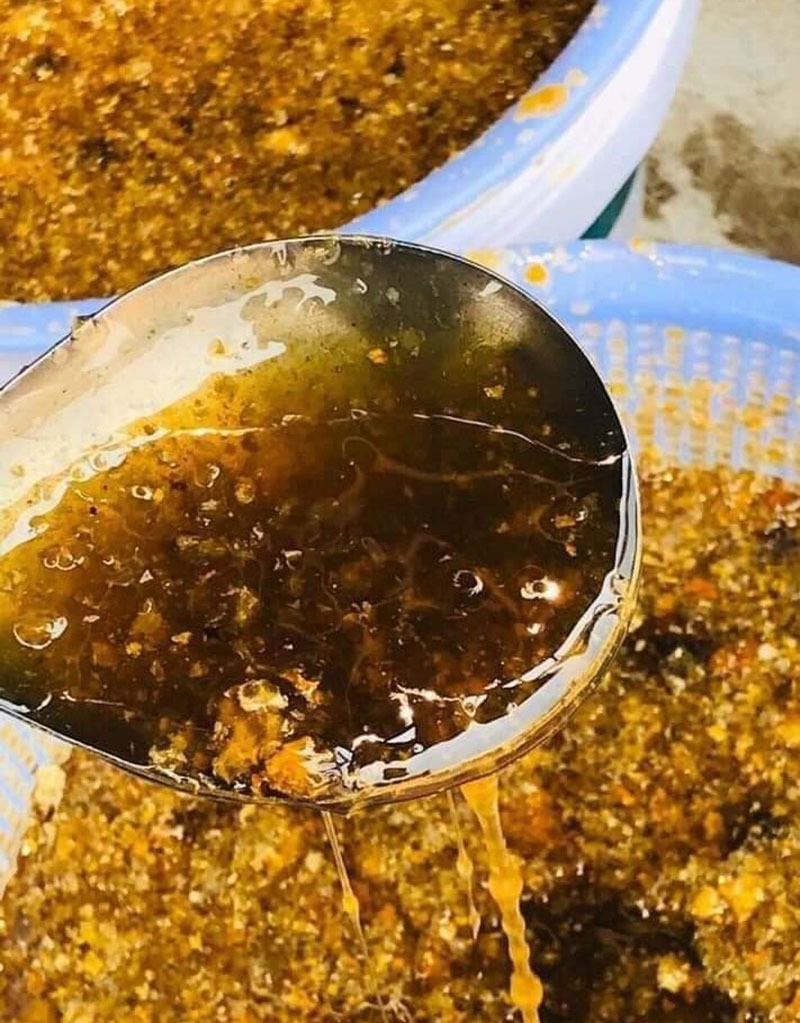 Có thương lái cả mùa mới mới gom được một vài lít để dùng trong gia đình hoặc bán cho khách quen đã đặt trước. Ảnh: Vietnamnet