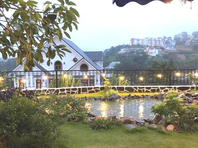 Nam ca sĩ còn dành một không gian cho thảm thực vật xanh vừa giúp không khí trong lành, vừa tạo cảm giác mát mẻ. Ảnh: Vietnamnet