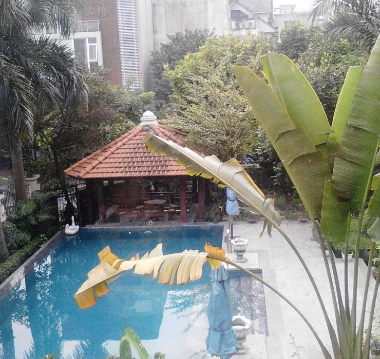 Căn biệt thự được xây dựng hoành tráng với 3 mặt tiền, bên trong có hồ bơi và vườn cây xanh mát. Ảnh: Dân Việt