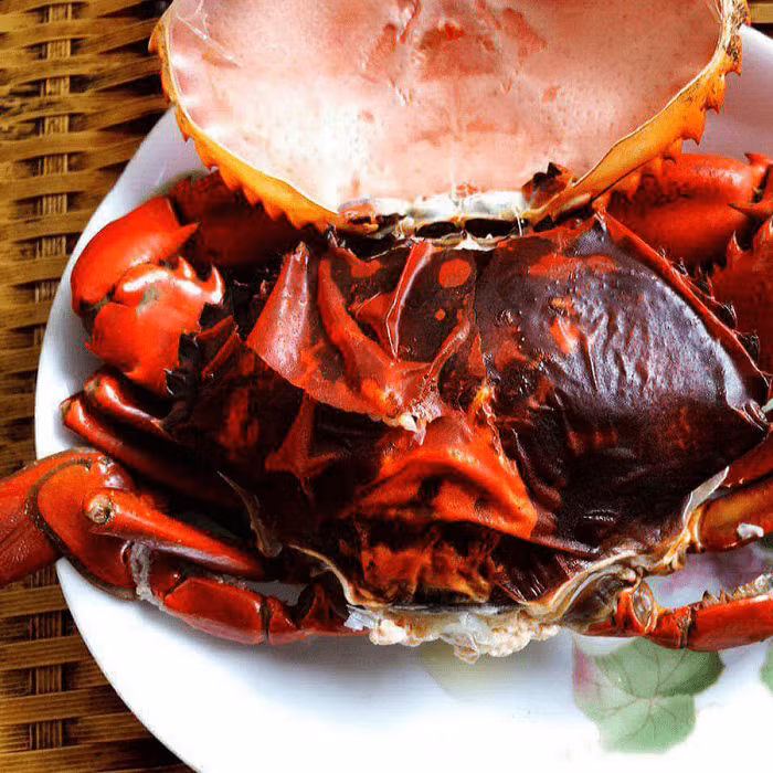 Tại các cửa hàng hải sản, cua hai da có giá cao hơn cua gạch bình thường, dao động từ 790.000 - 950.000 đồng/kg. Thậm chí, có thời điểm cua hai da lên tới hơn 1 triệu đồng/kg Ảnh: Haisanphuongnam