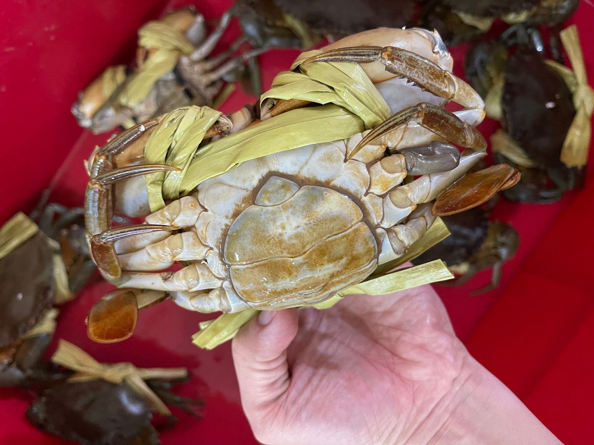 Trên chợ online, cua cốm có giá mềm hơn, dao động trong khoảng 650.000 - 750.000 đồng/kg, size 3 - 6 con/kg loại có dây buộc bằng vải. Ảnh: Facebook