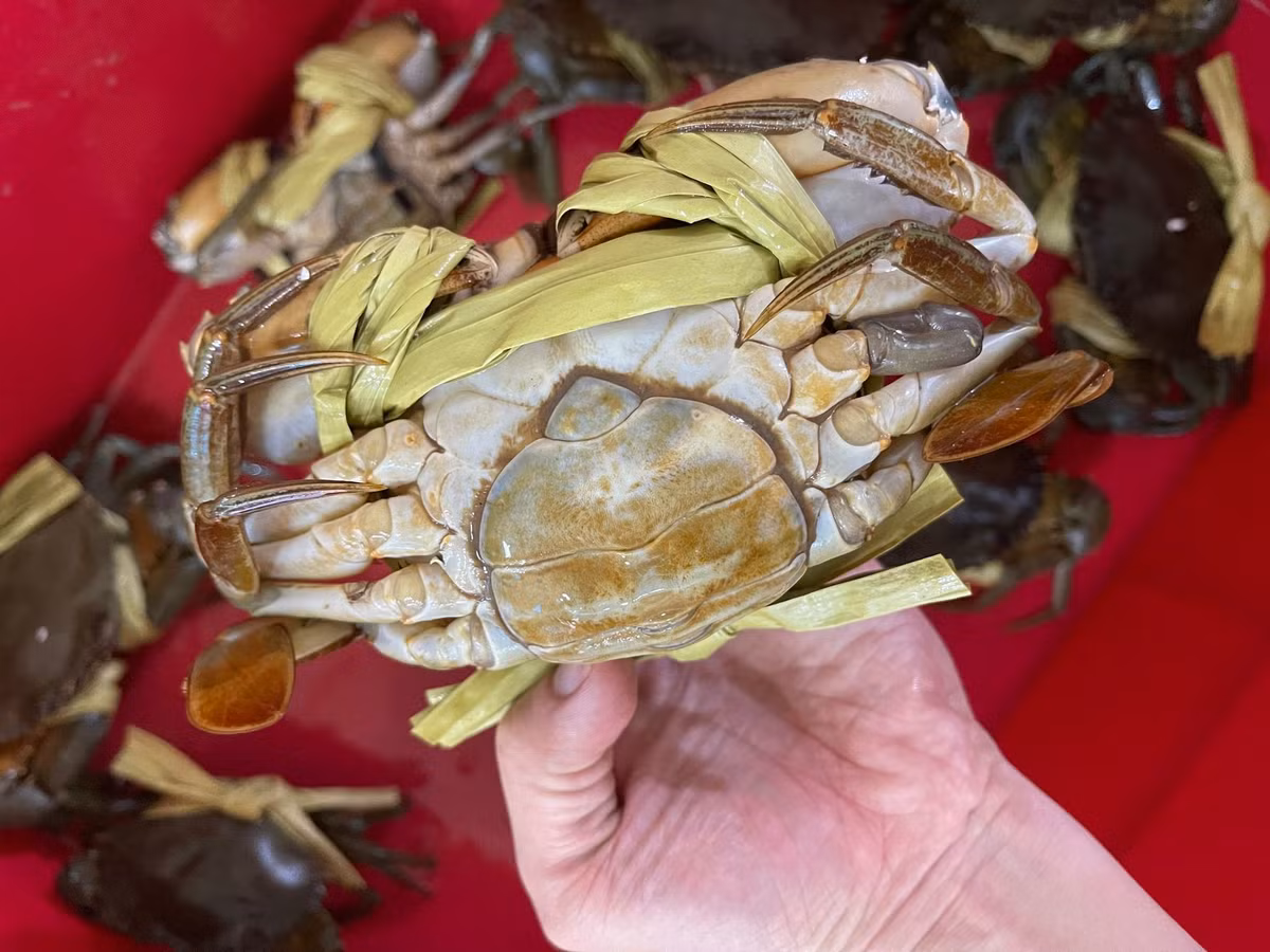 Trên chợ online, cua cốm có giá mềm hơn, dao động trong khoảng 650.000 - 750.000 đồng/kg, size 3 - 6 con/kg loại có dây buộc bằng vải. Ảnh: Facebook