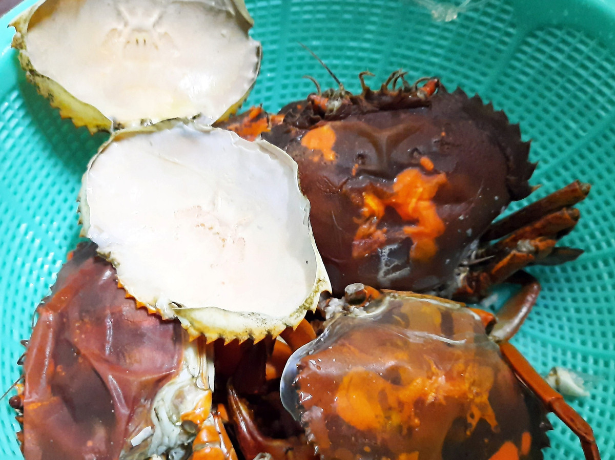 Đặc biệt, phần gạch là chất dinh dưỡng quan trọng cua hai da dùng để dự trữ nuôi sống cơ thể trong những ngày lột xác. Vì thế, lớp gạch cua hai da có màu vàng nhạt, rất thơm. Ảnh: Dân Việt