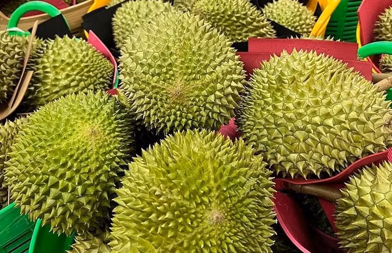 Theo Vietnamnet, trên thị trường một số cửa hàng rao bán sầu riêng Musang King trồng tại Phong Điền (Cần Thơ) giá lên tới 800.000 đồng/kg. Ảnh: Vietnamnet