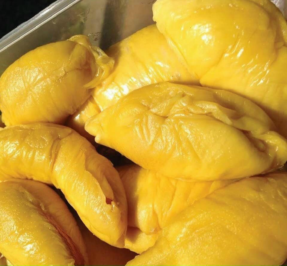 Sầu riêng Musang King được mệnh danh là ông vua của dòng sầu riêng có nguồn gốc từ Malaysia. Ảnh: Facebook