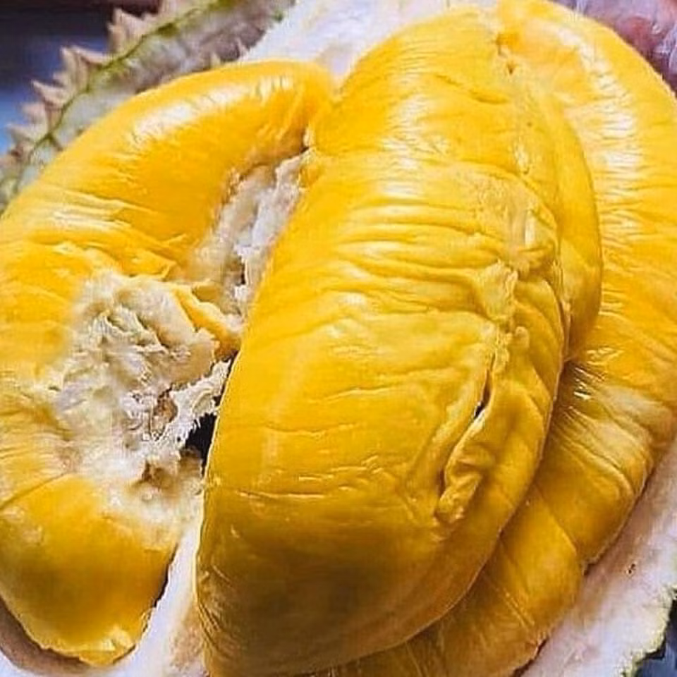 Đây còn được coi là loại sầu có hương vị thơm ngon nhất thế giới. Ảnh: Facebook