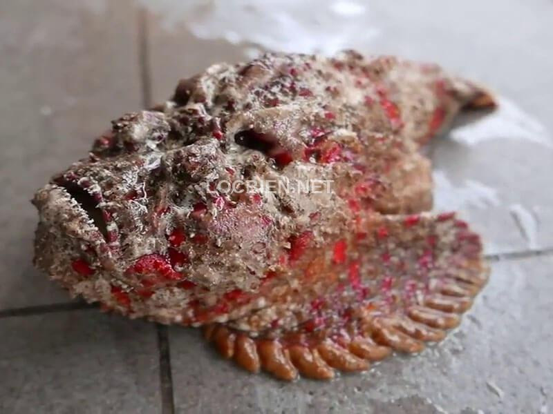 Tại Hà Nội và TP HCM, một số nhà hàng phục vụ món cá mặt quỷ với giá từ 700.000 đồng đến 1,6 triệu đồng/kg. Thậm chí, khách muốn thưởng thức phải đặt trước. Ảnh: Locbien