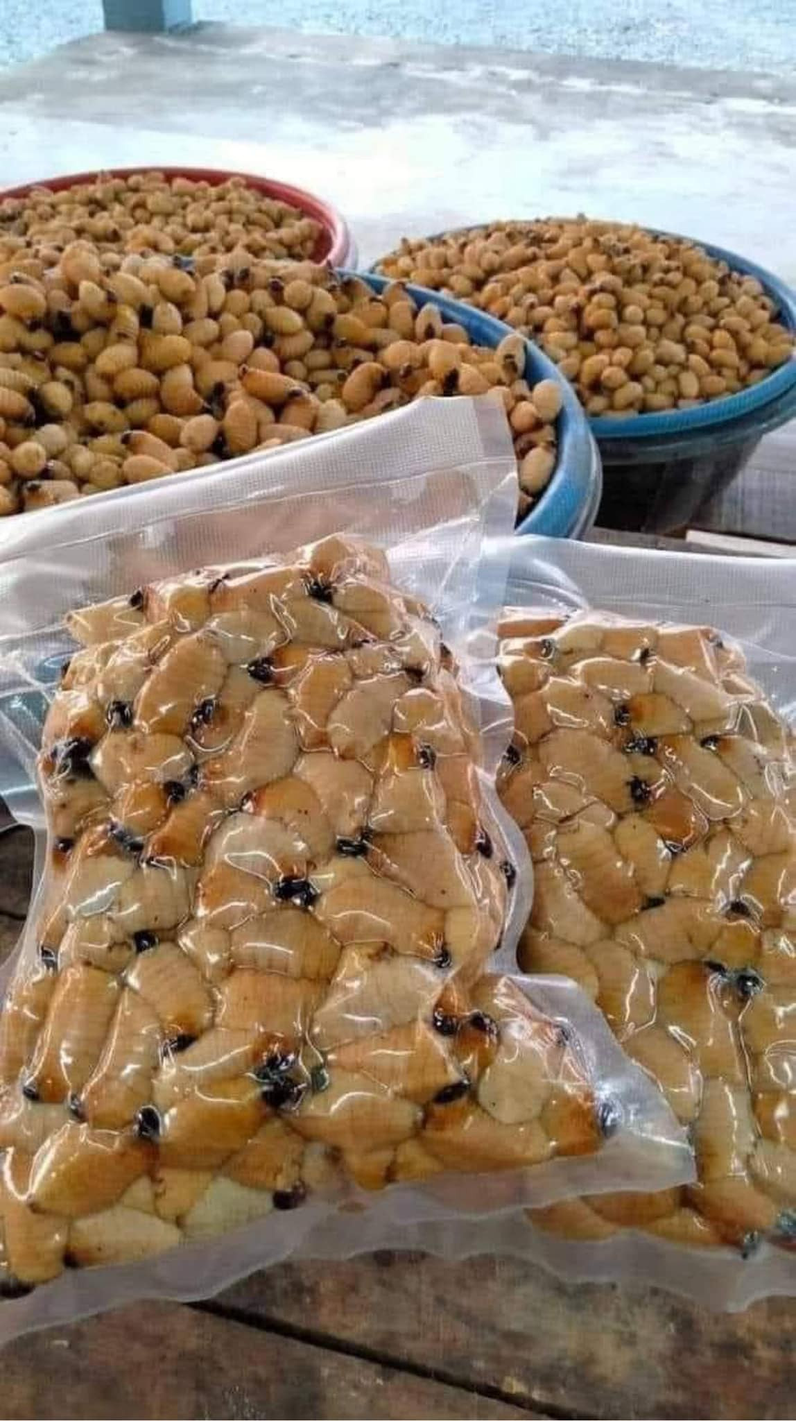 Thế nhưng, nhộng cọ là đặc sản hiếm có giá cao ngất ngưởng, lên tới 350.000 đồng/kg. Ảnh: Facebook