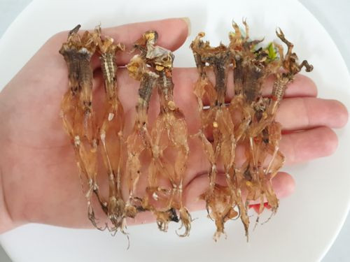 "Vũ nữ chân dài" là tên gọi vui của món... khô nhái. Đây là đặc sản miền Tây có giá khoảng 300.000 dồng/kg, có thời điểm lên tới 700.000 đồng/kg tại Hà Nội. Ảnh: Dacsancamau