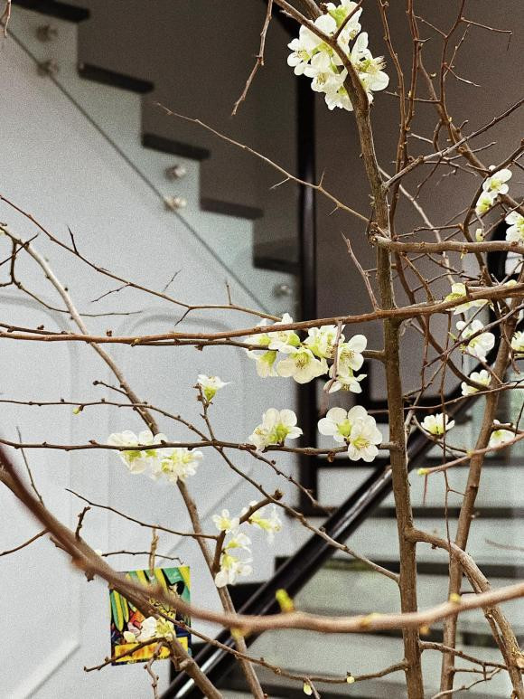 Trong khi con gái lấy chồng và sống trong biệt thự sang chảnh thì nhà riêng của bố mẹ Á hậu Tú Anh cũng không hề kém cạnh.