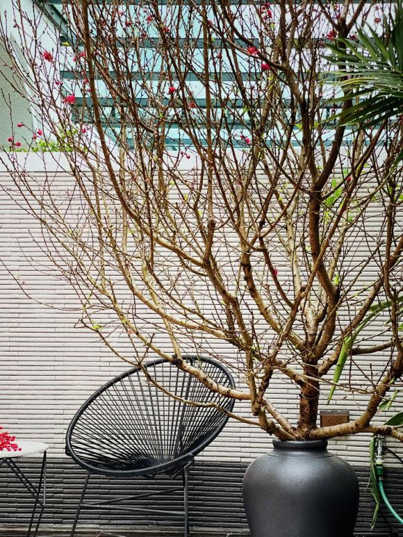 Các loại hoa trong nhà cũng đều là cẩm tú cầu, đào đông, hoa mận...vừa rực rỡ vừa tạo cảm giác hoài cổ.