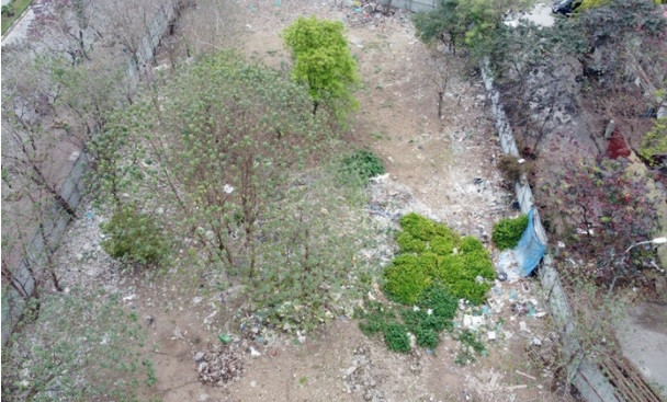 Khu đất chủ yếu bỏ hoang, nhiều cây dại.