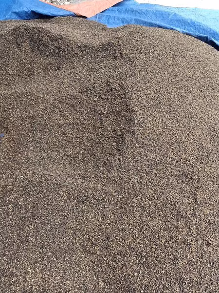 3 loai gia vi Tay Bac cuc dat do, co tien chua chac mua duoc-Hinh-5