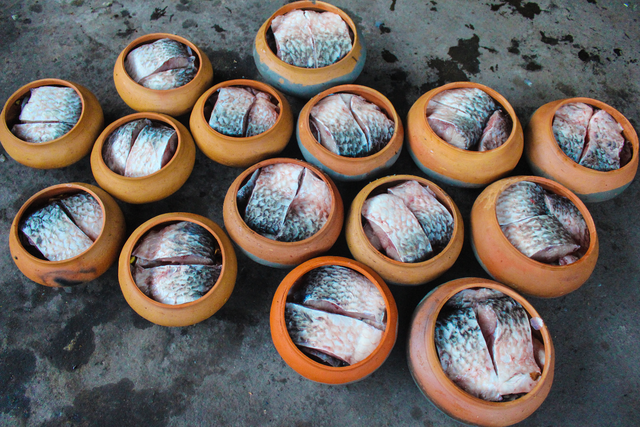 Cá kho phải là cá trắm đen được nuôi khoảng 2 -3 năm, cân nặng từ 3 – 5 kg/con, cắt bỏ đầu và đuôi chỉ giữ lại phần nhiều thịt, ít xương. Ảnh: Vietnamnet