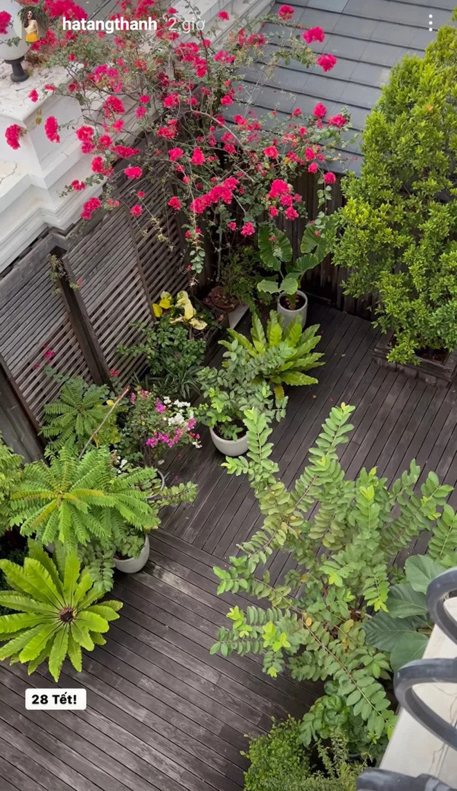 Sân vườn đỏ rực một góc trời.