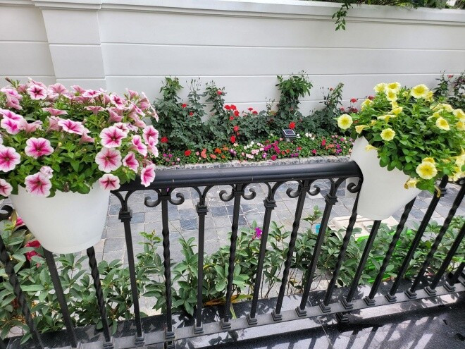 Nam ca sĩ còn trồng hoa xung quanh biệt thự để vợ thư giãn mỗi ngày. Ảnh: FBNV