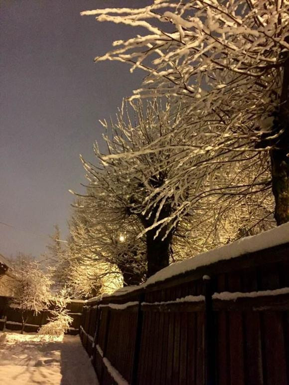 Hàng rào cũng được làm bằng gỗ. Ảnh: FBNV