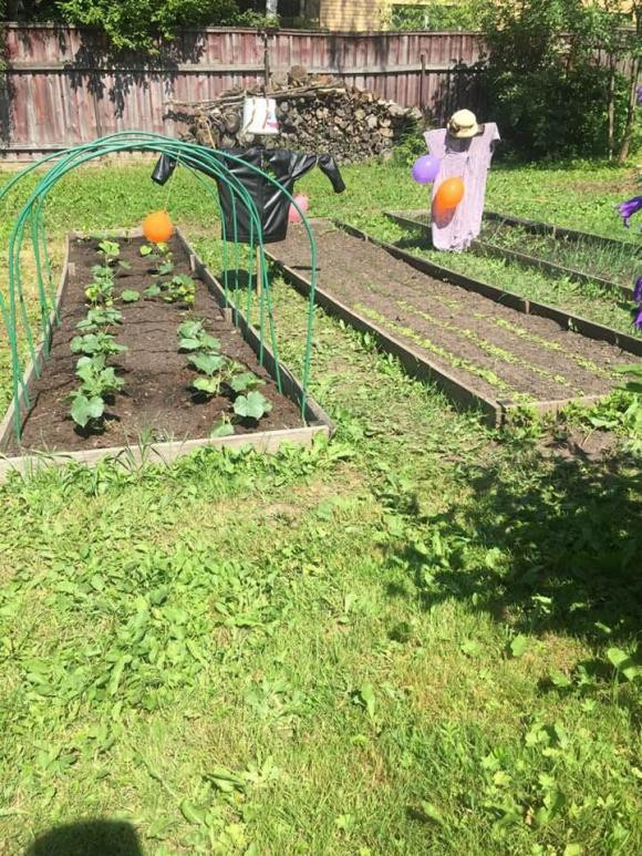 Bên ngoài căn nhà là khu vườn rộng rãi trông đủ các loại rau xanh và hoa. Ảnh: FBNV