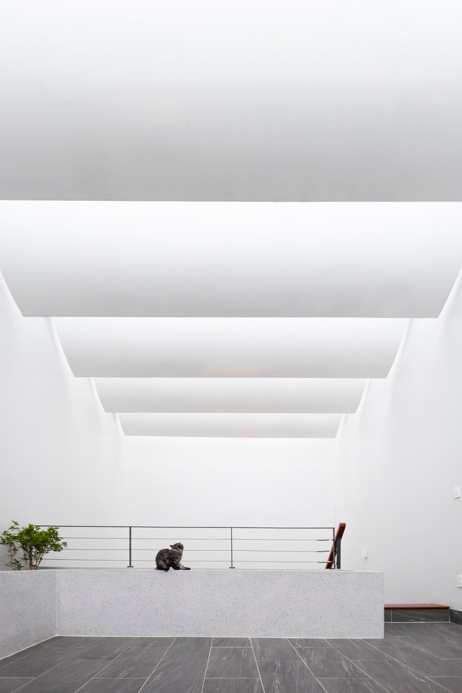 Ánh nắng chiếu uống tạo nên nhịp điệu sáng tối bên trong ngôi nhà