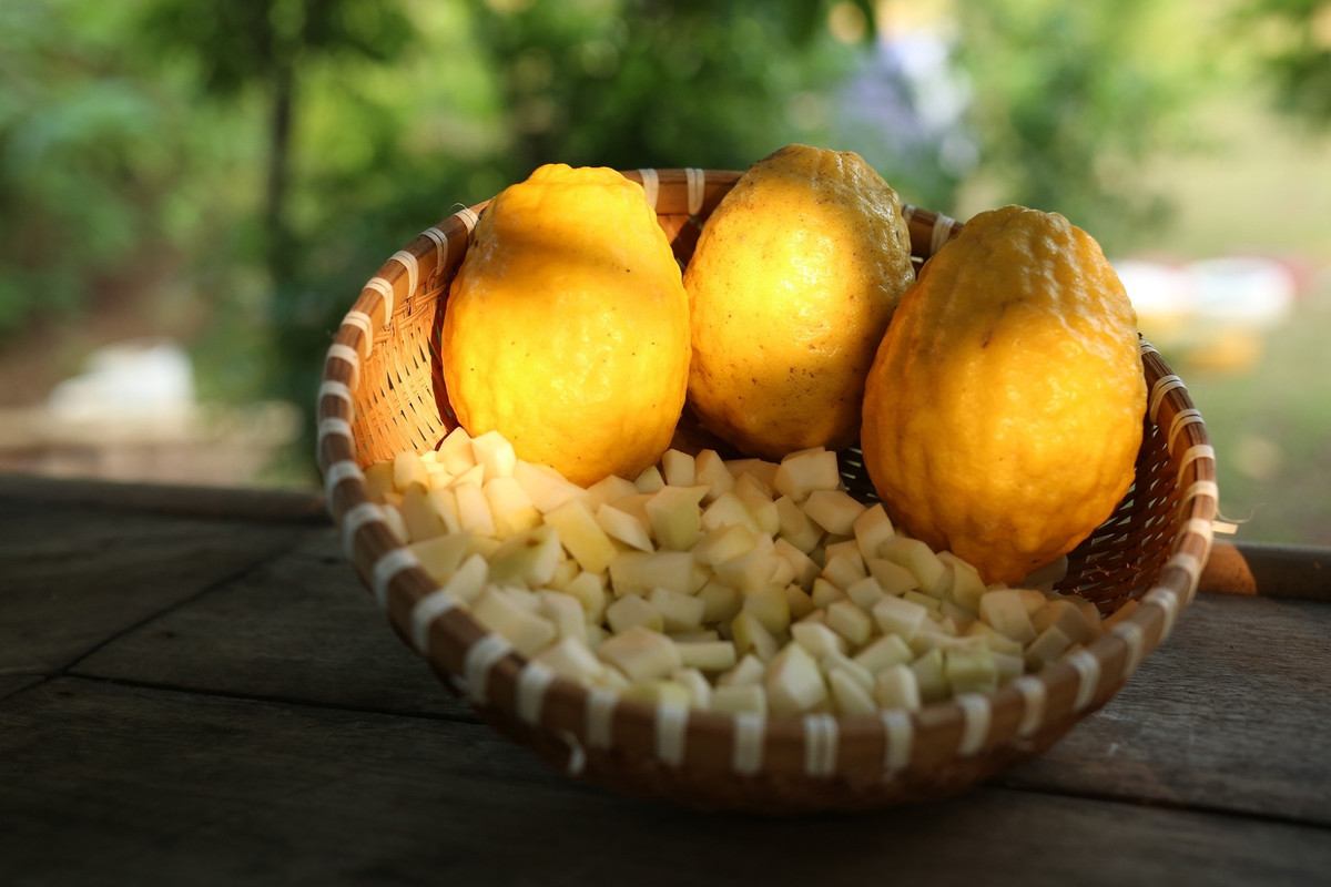 Giống chanh vàng này quả sần sùi, cùi dày, ít nước nhưng rất thơm. Ảnh: ThanhSon Garden