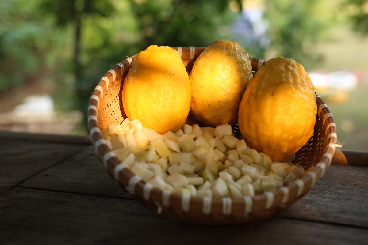 Giống chanh vàng này quả sần sùi, cùi dày, ít nước nhưng rất thơm. Ảnh: ThanhSon Garden