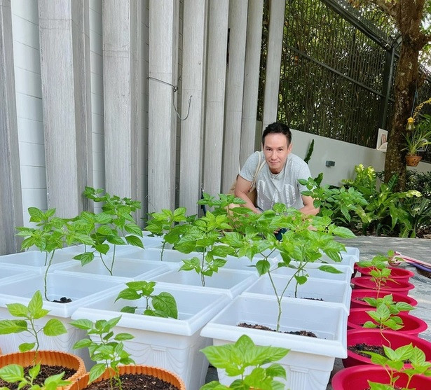 Những chậu ớt Peru, loại ớt đắt nhất thế giới cũng có trong vườn nhà Lý Hải. Ảnh; FBNV