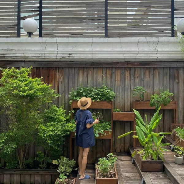 Trong căn biệt thự triệu đô hoành tráng, Tăng Thanh Hà thiết kế khuôn viên xanh mát với nhiều loại hoa cỏ, cây trái bốn mùa, tạo cảm giác gần gũi khi luôn được hòa mình vào thiên nhiên. Ảnh: FBNV