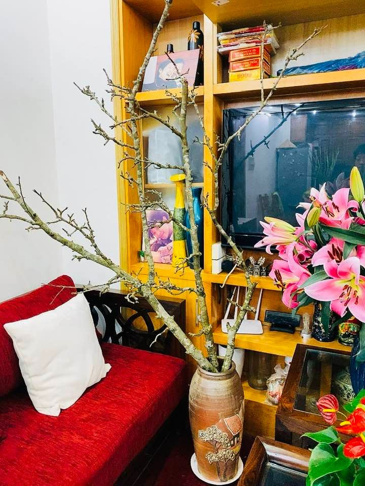 Trong ngày Tết, Thảo Vân trang trí phòng khách bằng một cành lê lớn.
