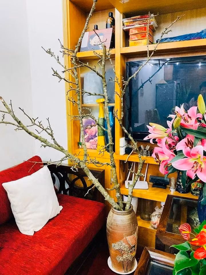 Trong ngày Tết, Thảo Vân trang trí phòng khách bằng một cành lê lớn.