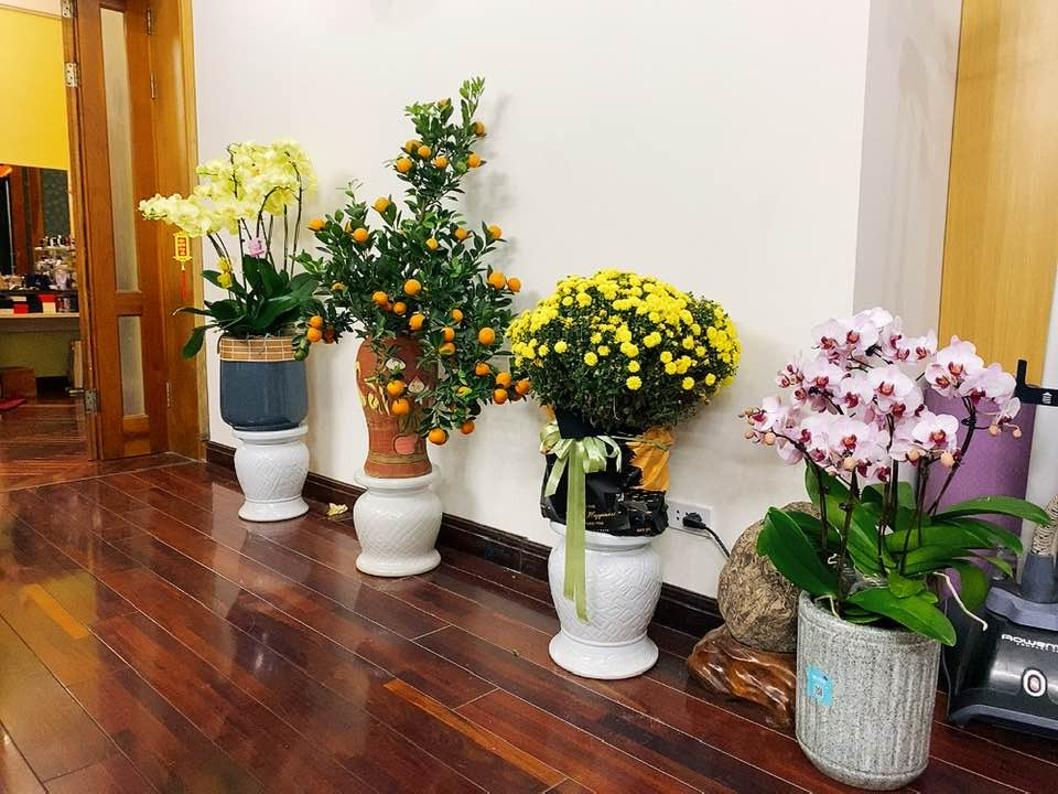 Hoa tươi cắm trong những chiếc bình gốm xinh xắn cho không gian ngập sắc xuân.