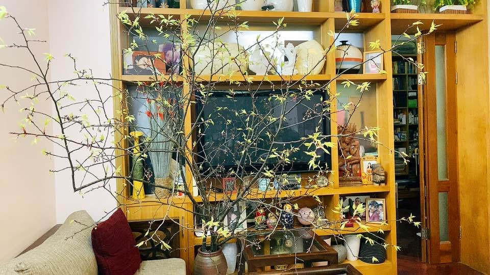 Chiếc kệ được lựa chọn để ngăn giữa phòng khách và phòng ngủ thay cho bức tường đơn điệu.