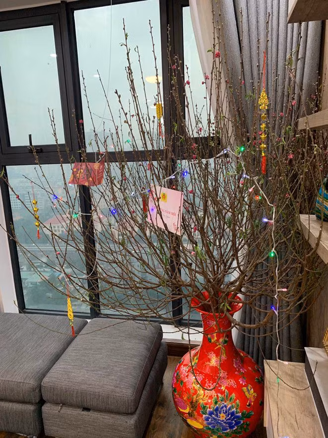 Mọi thiết kế trong ngôi nhà nhỏ của Trung Ruồi đều theo sở thích, đơn giản mà không có bản vẽ. Ảnh: FBNV