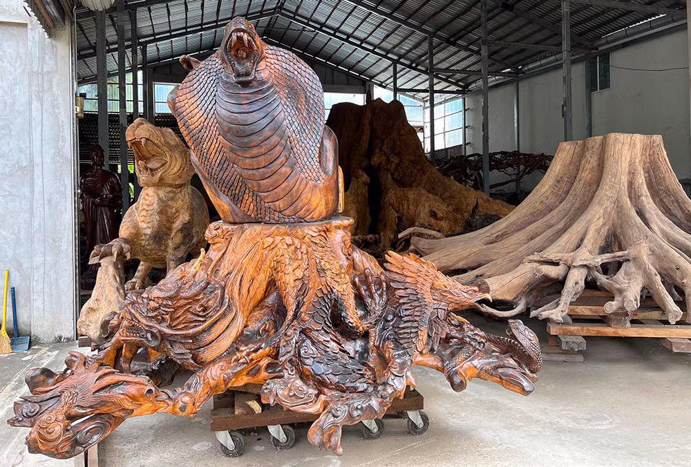 Sau khi đưa gốc bàng khổng lồ về, ông Kiên cho thợ gia công thêm để hình thù "cụ bàng" trông bắt mắt và có nhiều hình thù độc đáo. Ảnh: Vietnamnet