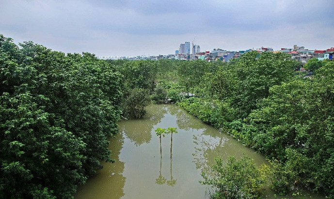 Vùng đất ven bờ thuộc địa phận phường Phúc Tân đã bị nước dâng cao, lấn sâu.