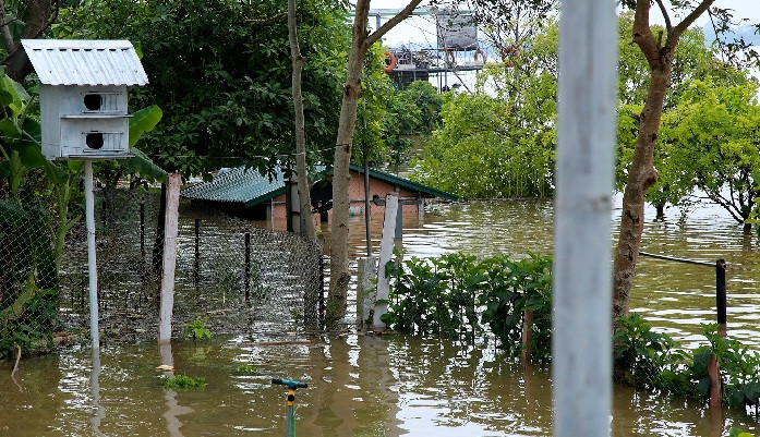 Khu vực này là một bãi tắm tự nhiên thuộc bãi giữa sông Hồng, các loại xà đơn, xà kép chìm sâu trong nước. Khu nhà tạm ngập tới gần mái.