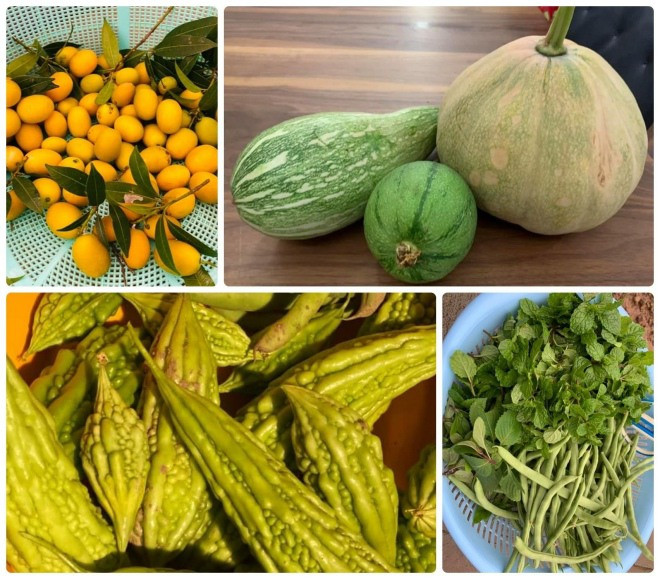 Người đẹp khoe thành quả thu hoạch được trong vườn nhà. Nguồn ảnh; FBNV