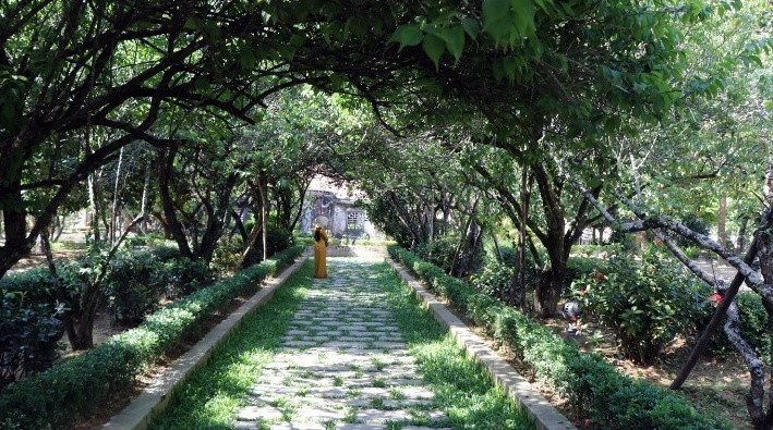 Con đường nhỏ rập bóng cây xanh dẫn vào nhà vườn An Hiên. Ảnh: TTXVN