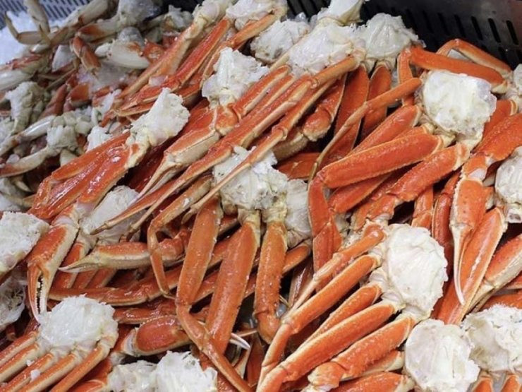 Phần thịt thơm ngon của chúng có thể dùng để chế biến thành nhiều món hấp dẫn, được đông đảo giới sành ăn ở Nhật Bản yêu thích như luộc, nướng, Sashimi, Tempura hay lẩu Nabe.