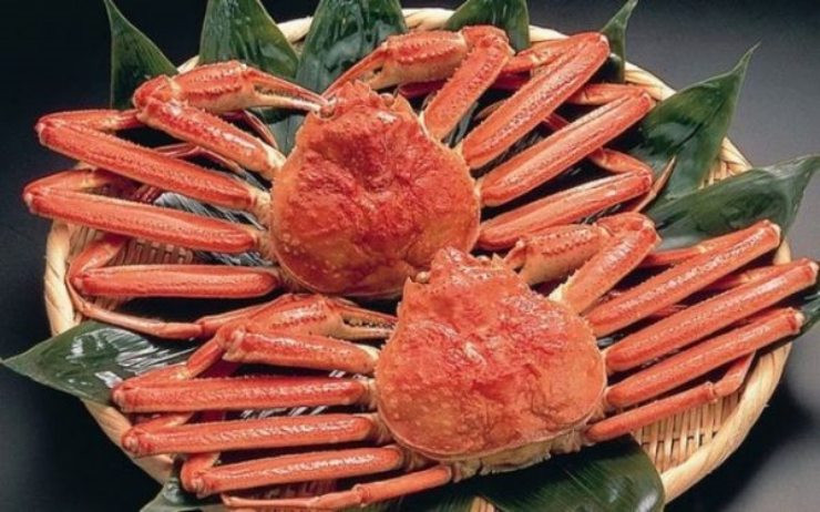 Tháng 11/2019, một con cua tuyết Itsukiboshi đã được bán đấu giá thành công tại chợ hải sản ở Tottori với mức giá cuối cùng lên tới 5 triệu yên (tương đương hơn 1 tỉ đồng với tỉ giá ở thời điểm đó).