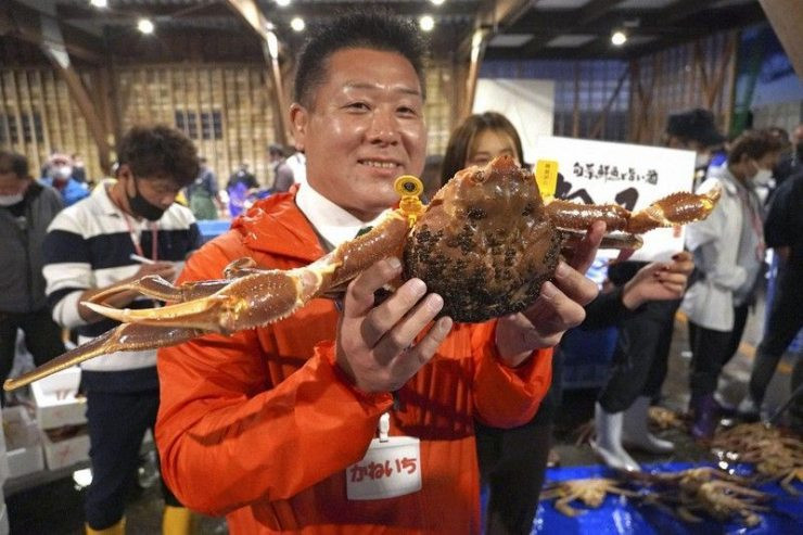 Hiện số lượng loài này bị giảm đáng kể nên Chính phủ Nhật cấm đánh bắt 7 tháng/năm. Ngoài ra, ngư dân không được phép bắt con nhỏ.