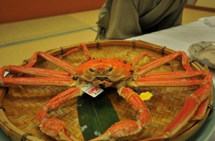 Trong số đó, Kinosaki Onsen ở tỉnh Hyogo, nơi có biệt danh là “vương quốc cua”, là một trong những điểm đến thu hút với những bữa tiệc cua tuyết xa hoa bậc nhất.