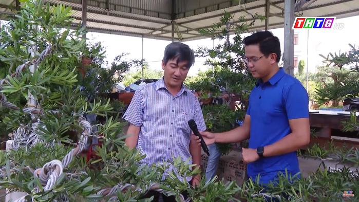 Những người nhận định, 2 trang trại trồng cây kiểng của ông Nguyễn Đăng Khoa là một trong những khu vườn kiểng tùng có quy mô lớn và có giá trị bậc nhất khu vực miền Tây. Ảnh: THTG