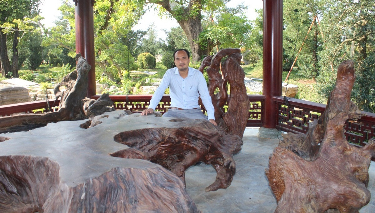 Để có những trang trại kiểng như hôm nay, gần 10 năm qua, ông đã bỏ nhiều công sức, kinh phí để đi sưu tầm, chọn mua từ các nơi. Ảnh: VOV