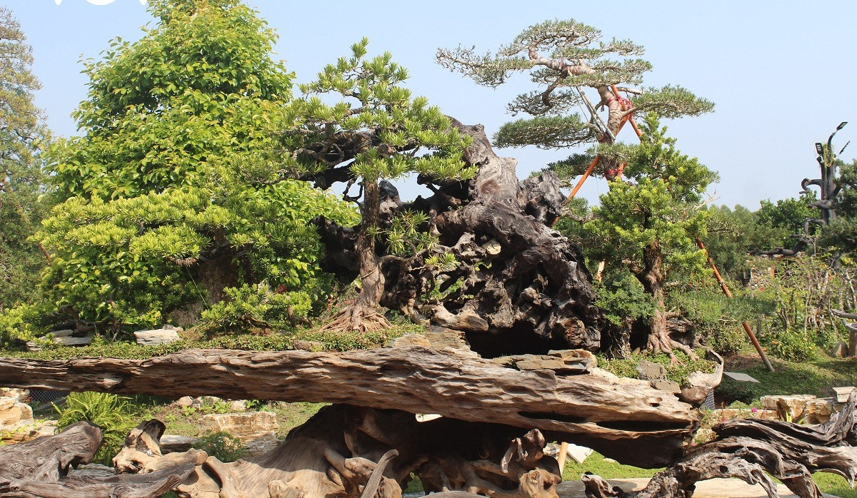 Tại đây, ông Khoa còn thiết kế các tiểu cảnh, trưng bày các hiện vật, đầu tư xây nhiều nhà sàn bằng gỗ xưa rất cổ kính, sang trọng để phục vụ khách tham quan. Ảnh; VOV