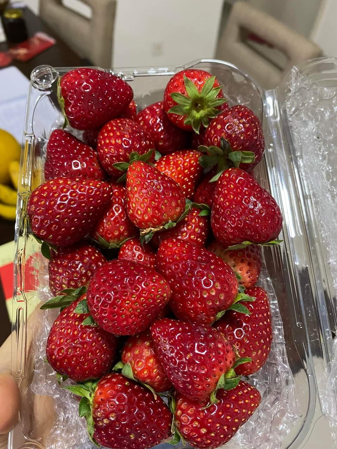 Dau tay Moc Chau “nhuom do” cho mang, cach nao phan biet dau Trung Quoc?-Hinh-3