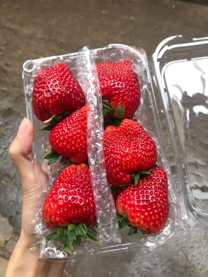 Dau tay Moc Chau “nhuom do” cho mang, cach nao phan biet dau Trung Quoc?-Hinh-2