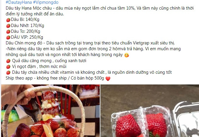 Dau tay Moc Chau “nhuom do” cho mang, cach nao phan biet dau Trung Quoc?